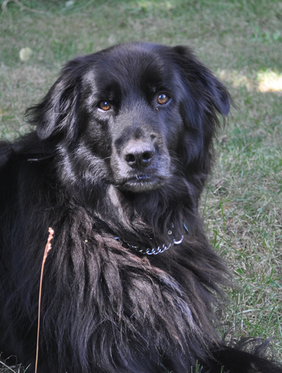 photo of Sidney
