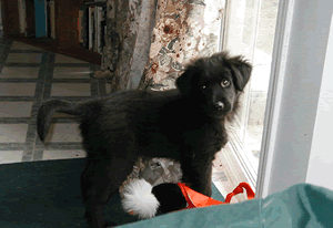 Sid at the door